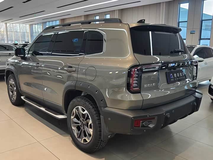 Фото 5 - Haval Dargo