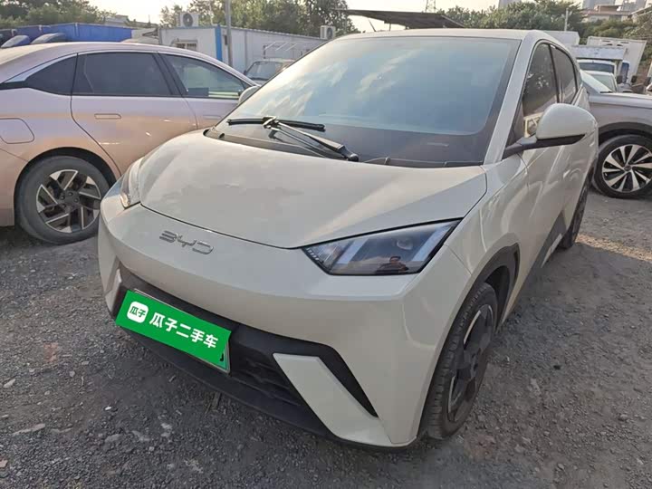 Фото 1 - BYD Seagull