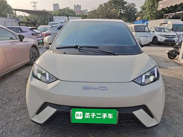 Фото 3 - BYD Seagull