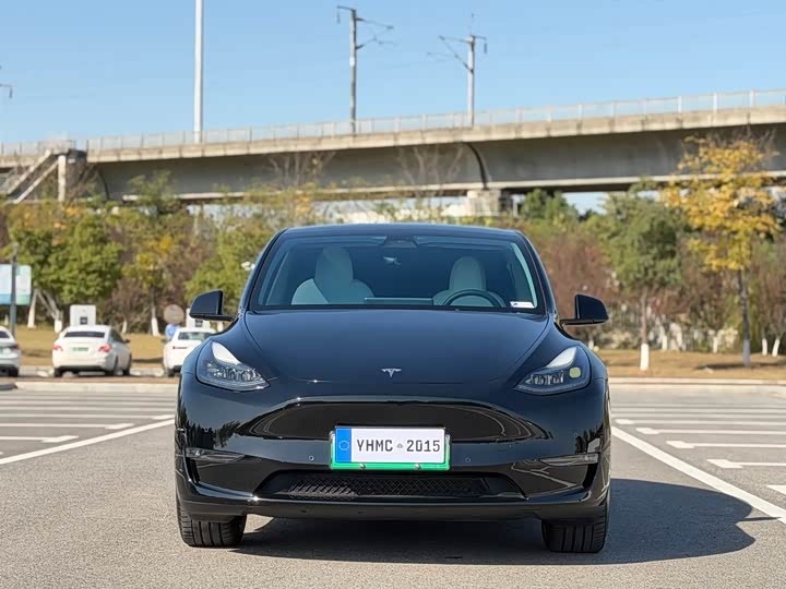 Фото 2 - Tesla Model Y