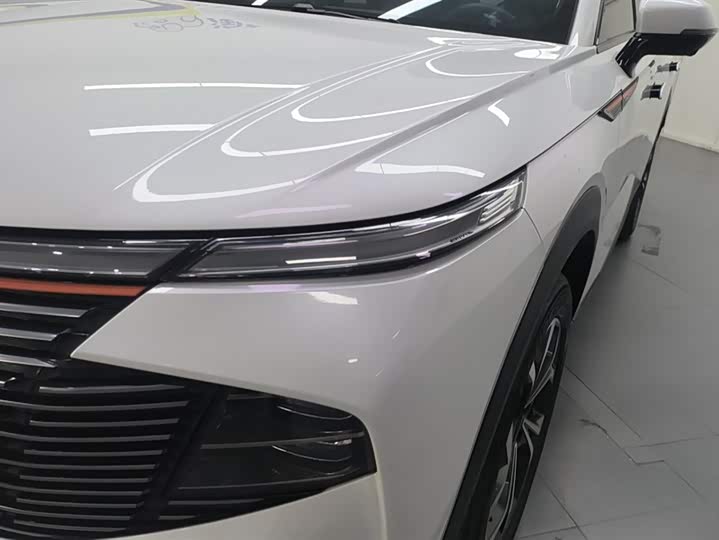 Фото 5 - Haval F7 (Monster)