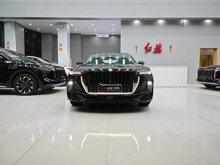 Фото 2 - Hongqi H9