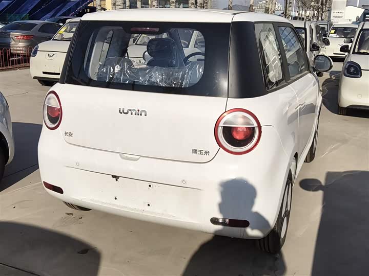 Фото 7 - Changan Qiyuan (Nevo) Lumin