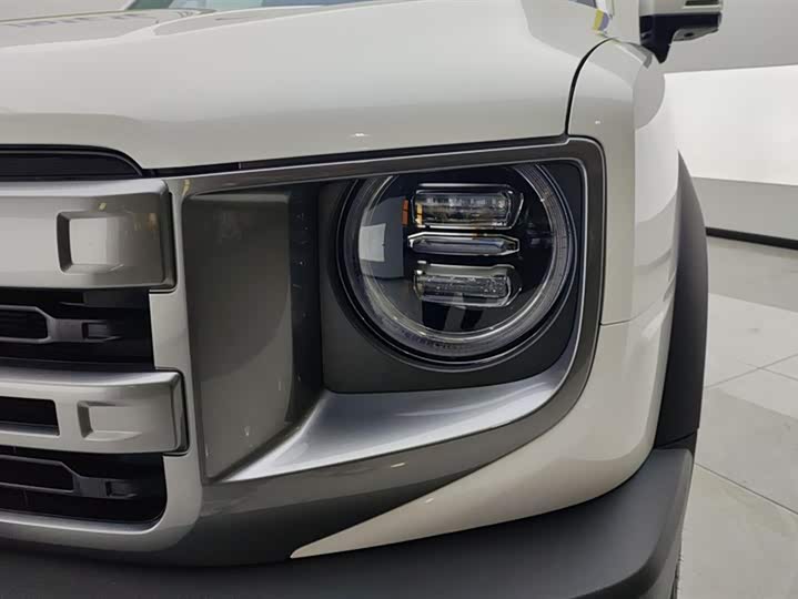 Фото 5 - Haval Dargo