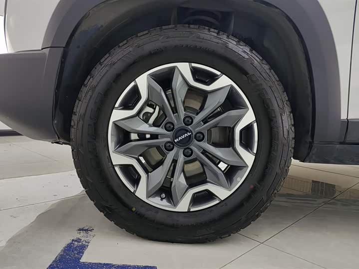 Фото 6 - Haval Dargo