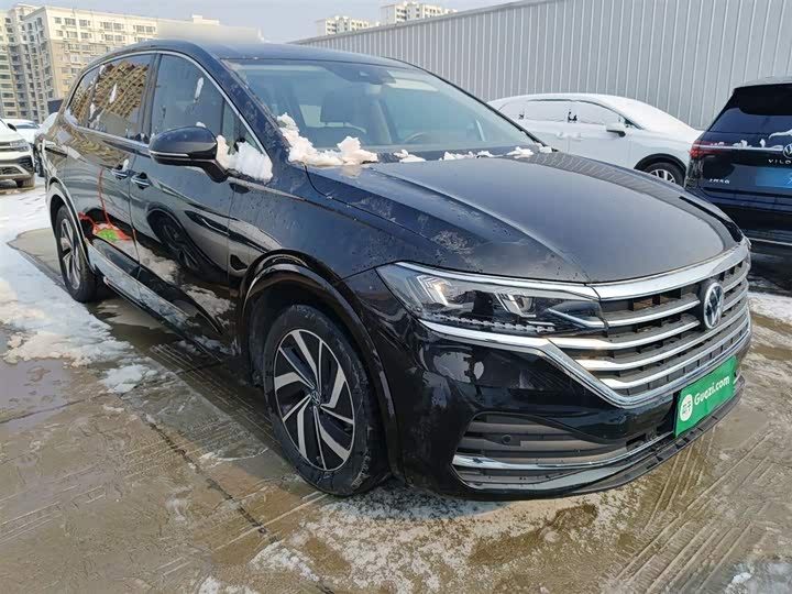 Фото 4 - Volkswagen Viloran