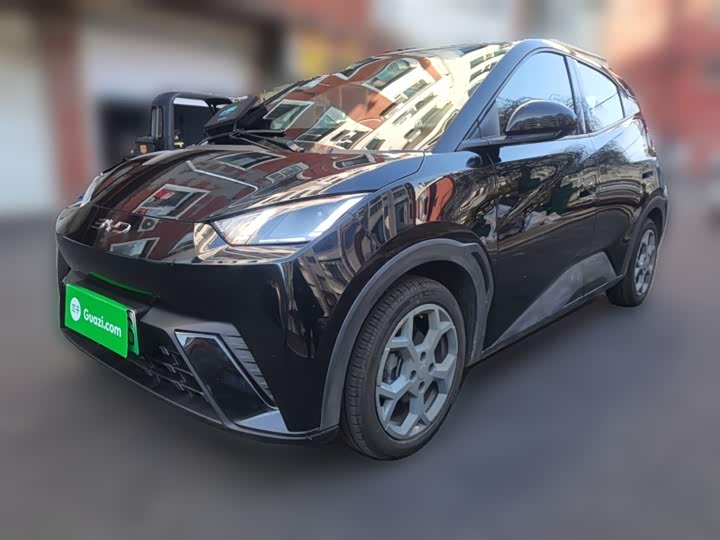 Фото 2 - BYD Seagull