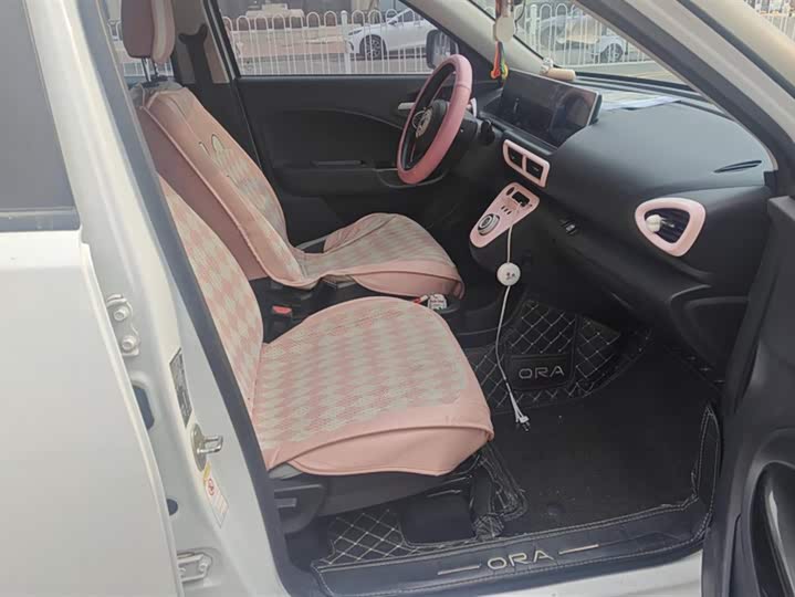 Фото 8 - Ora White Cat