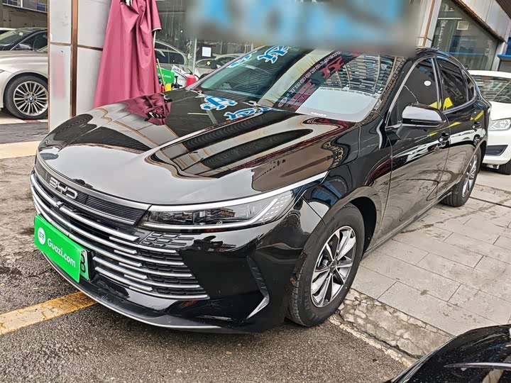 Фото 2 - BYD Destroyer 05