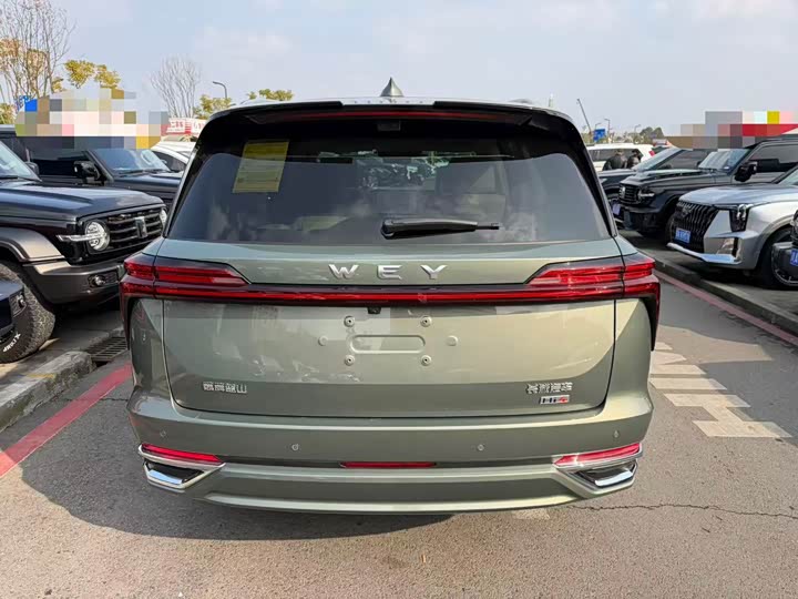 Фото 5 - Wey Lanshan