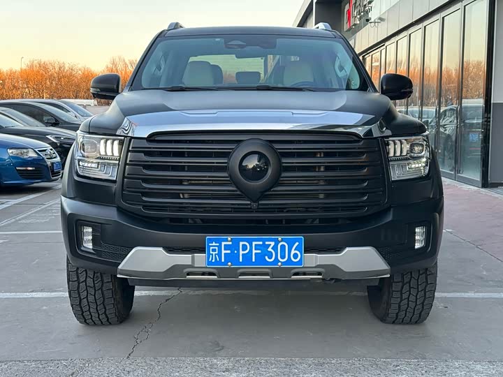 Фото 2 - Great Wall Shanhai Poer