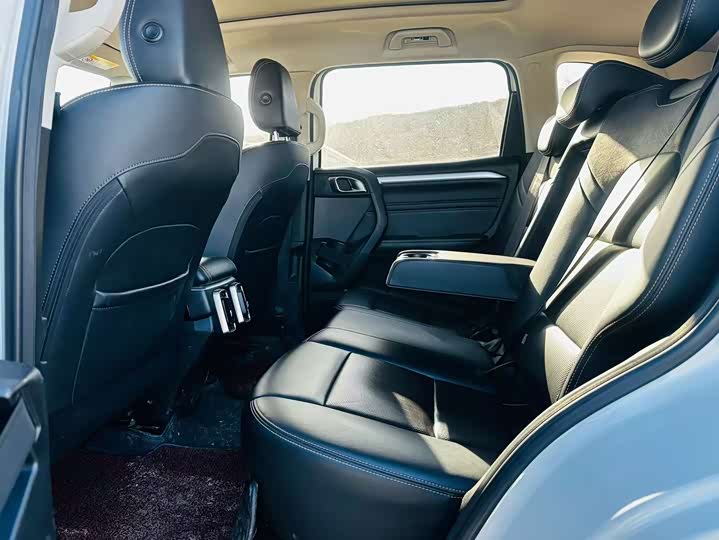 Фото 4 - Haval Dargo