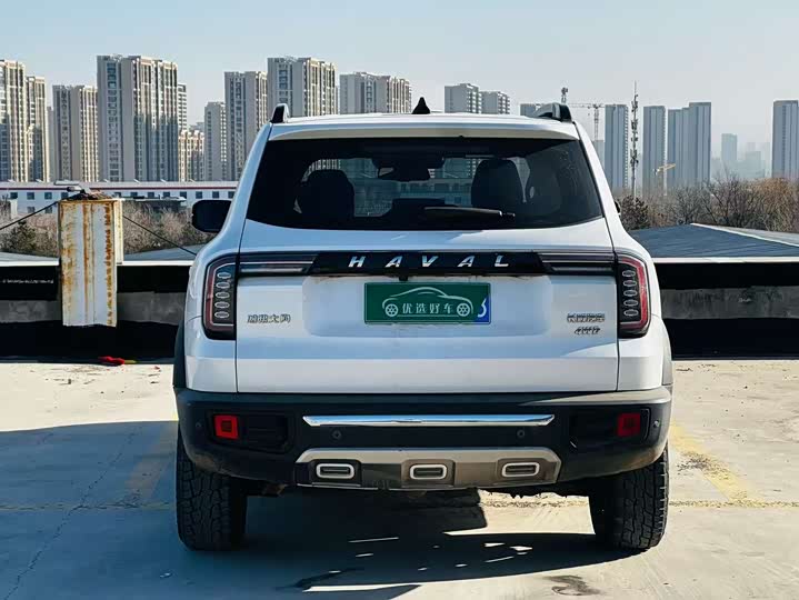 Фото 5 - Haval Dargo