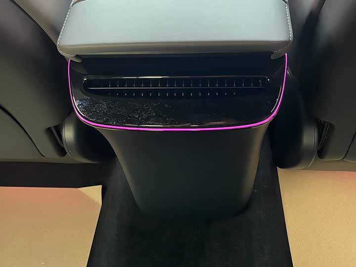 Фото 6 - Voyah Passion