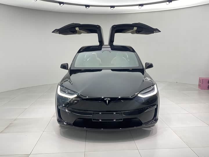 Фото 2 - Tesla Model X