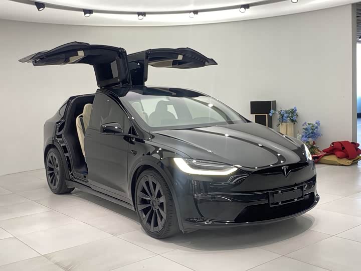 Фото 3 - Tesla Model X