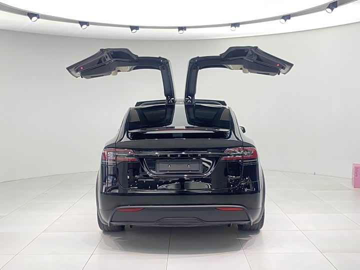 Фото 5 - Tesla Model X