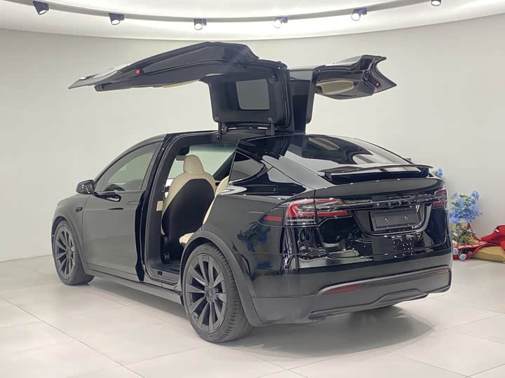 Фото 6 - Tesla Model X