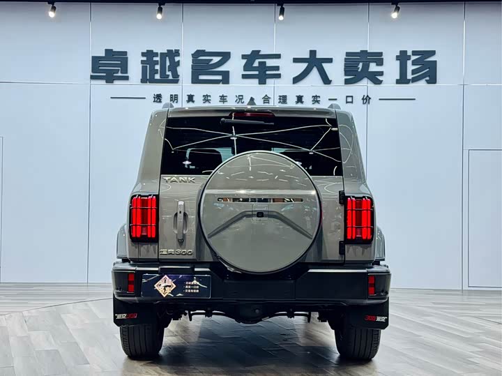 Фото 6 - Tank 300