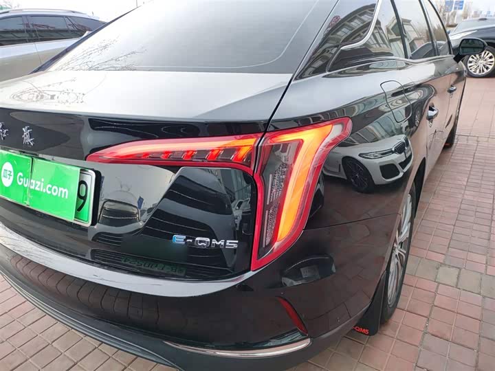 Фото 8 - Hongqi E-QM5