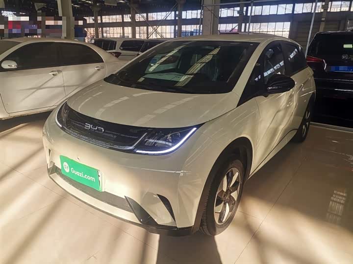 Фото 1 - BYD Dolphin