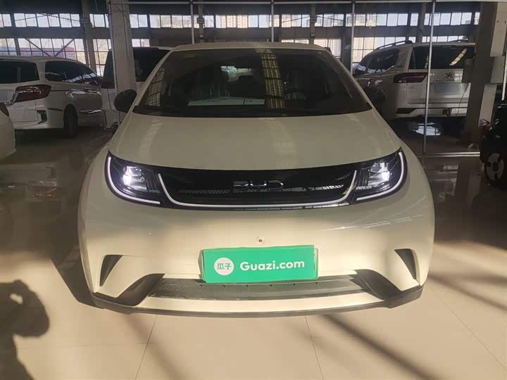 Фото 3 - BYD Dolphin