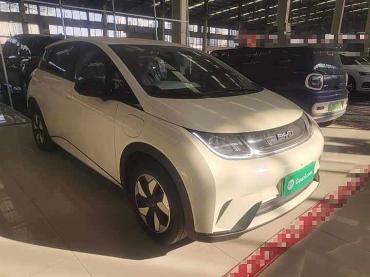 Фото 4 - BYD Dolphin