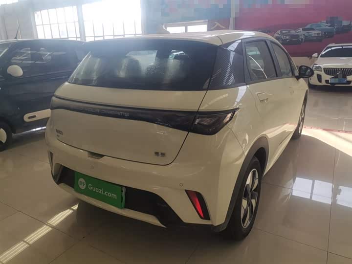 Фото 7 - BYD Dolphin