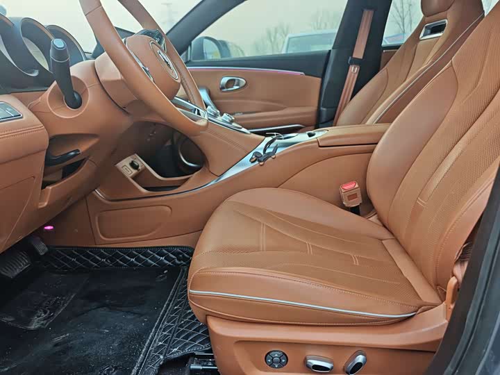 Фото 7 - Ora Lightning Cat (07)