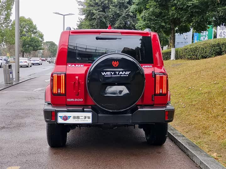 Фото 5 - Tank 300