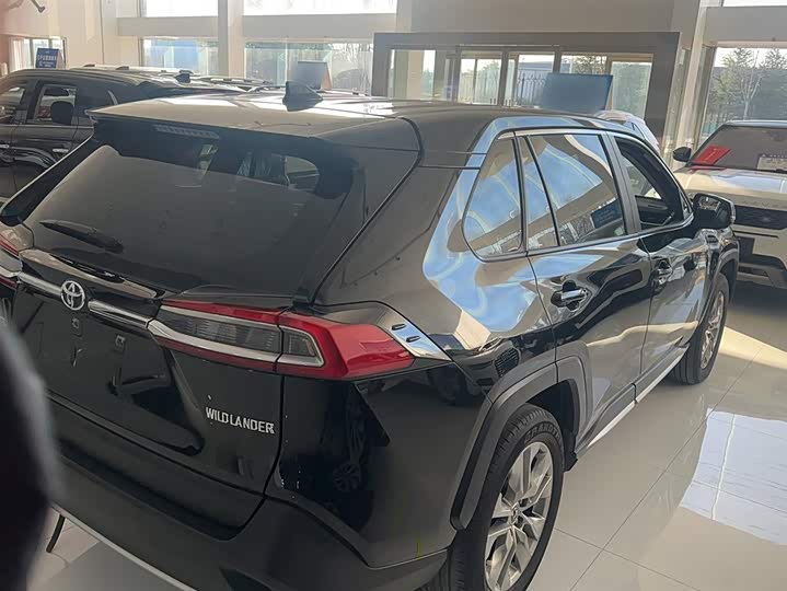 Фото 5 - Toyota Wildlander