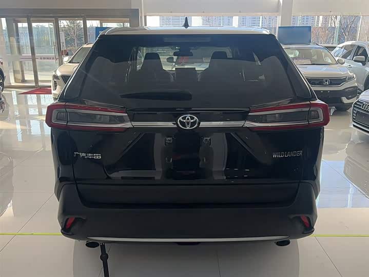 Фото 6 - Toyota Wildlander