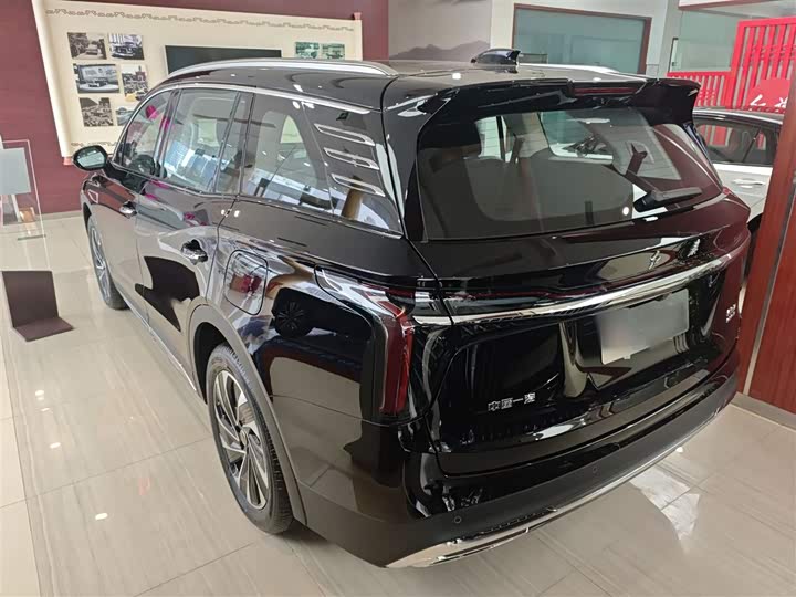 Фото 5 - Hongqi HS7 Hybrid