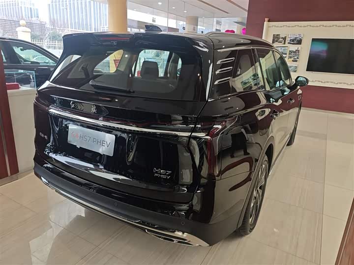 Фото 7 - Hongqi HS7 Hybrid