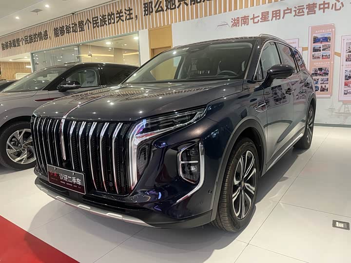 Фото 1 - Hongqi HS7 Hybrid