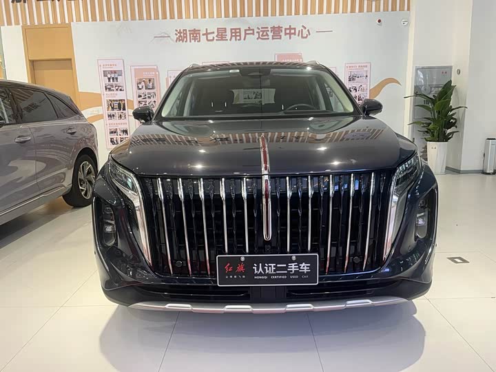 Фото 2 - Hongqi HS7 Hybrid