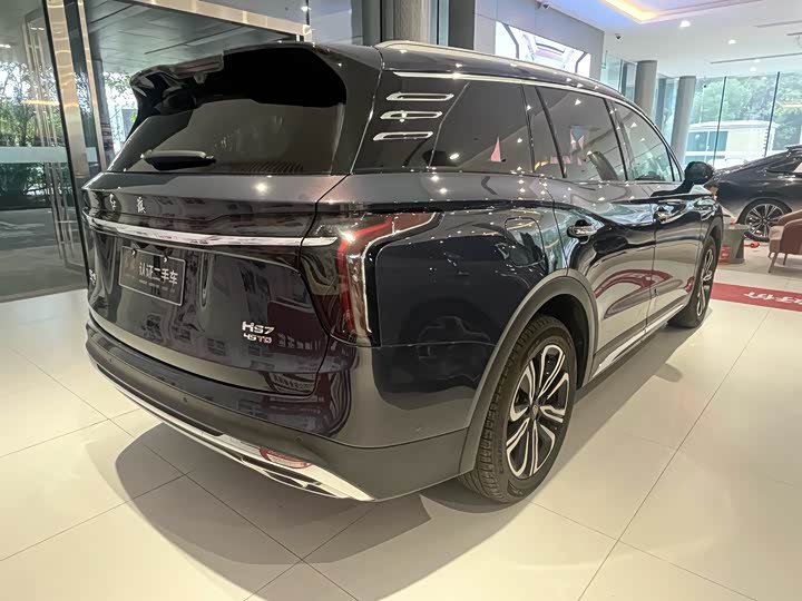 Фото 4 - Hongqi HS7 Hybrid