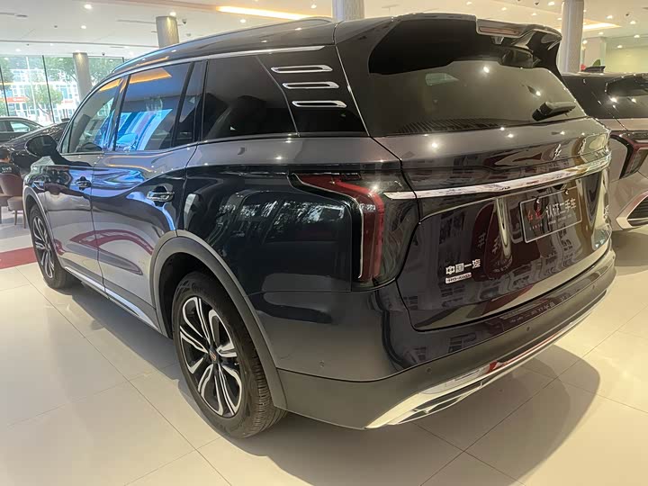 Фото 6 - Hongqi HS7 Hybrid