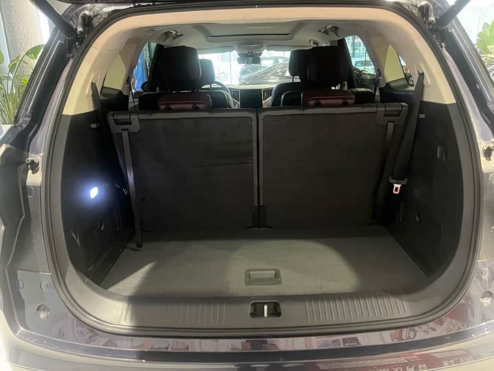 Фото 7 - Hongqi HS7 Hybrid