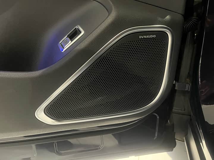 Фото 9 - Hongqi HS7 Hybrid