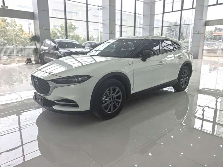 Фото 1 - Mazda CX-4