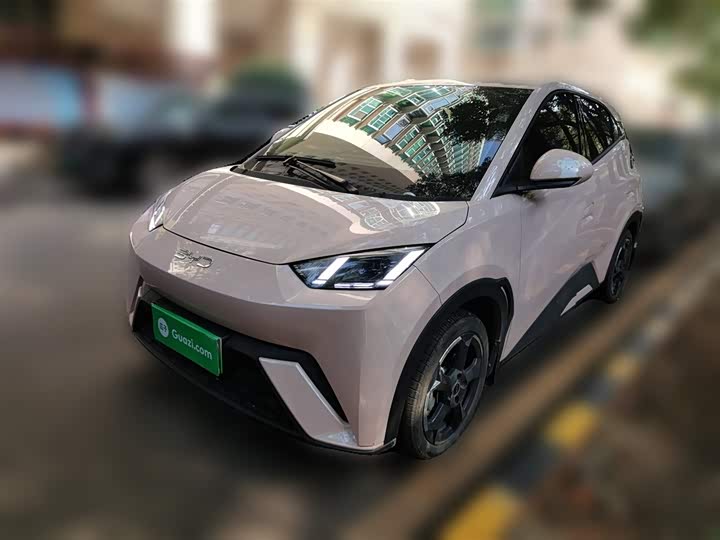 Фото 1 - BYD Seagull