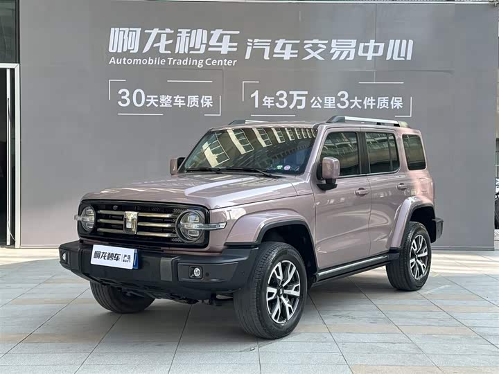 Фото 1 - Tank 300