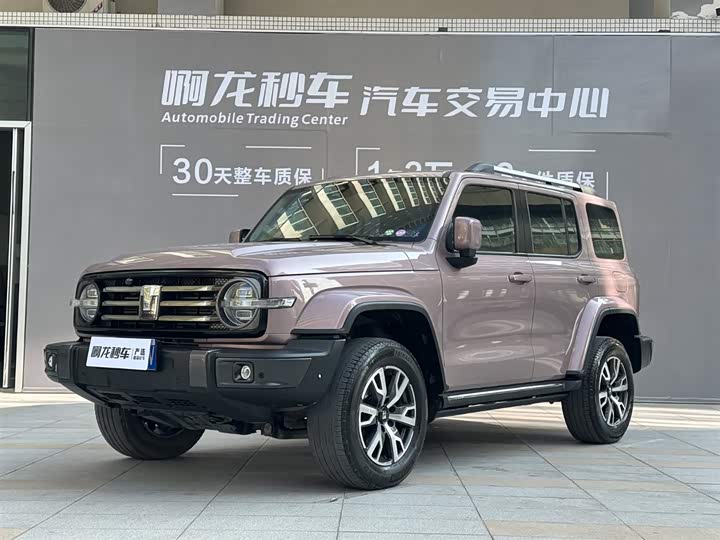 Фото 2 - Tank 300