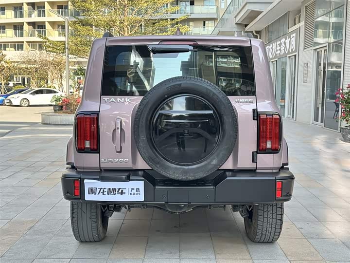 Фото 7 - Tank 300