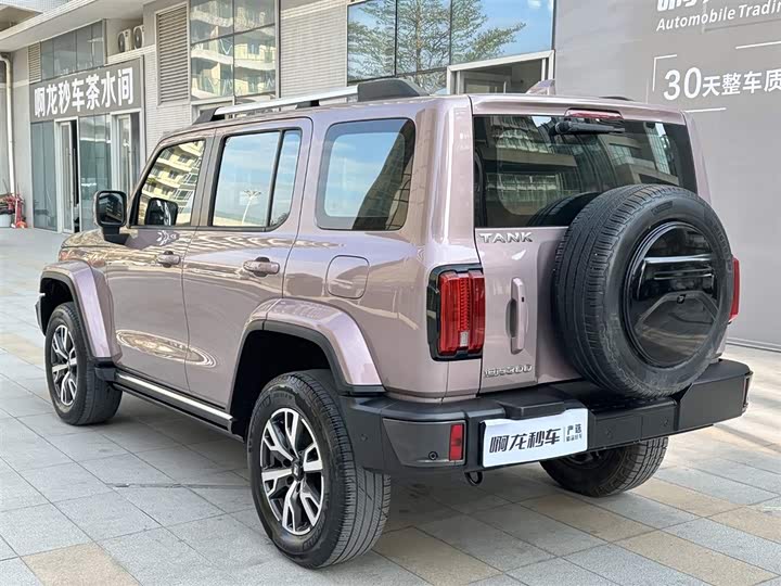 Фото 8 - Tank 300