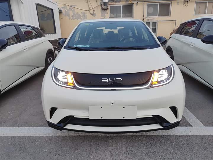 Фото 3 - BYD Dolphin