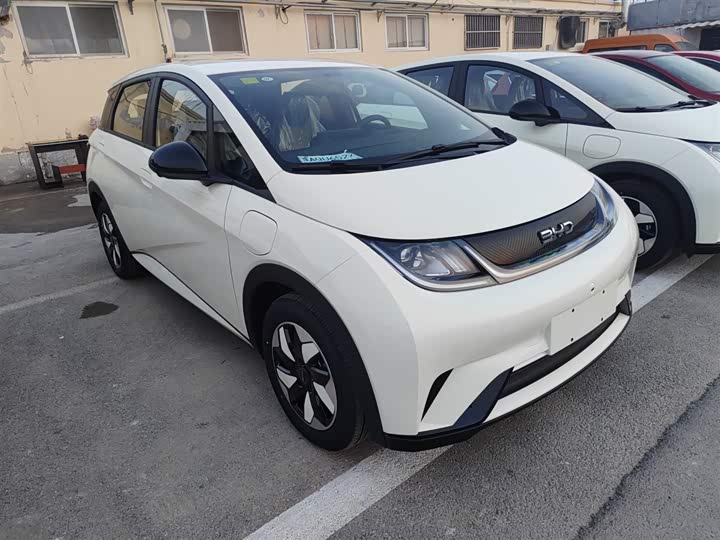 Фото 4 - BYD Dolphin