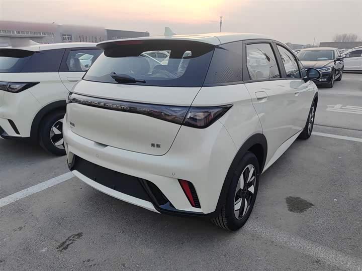 Фото 7 - BYD Dolphin