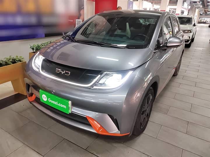 Фото 2 - BYD Dolphin